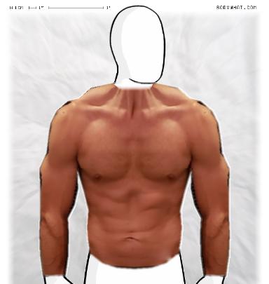 Muscle-ing up