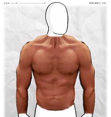 Muscle-ing up