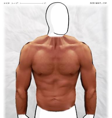 Muscle-ing up
