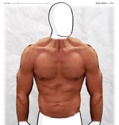 Muscle-ing up