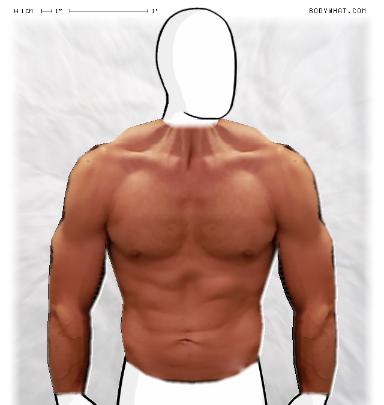 Muscle-ing up