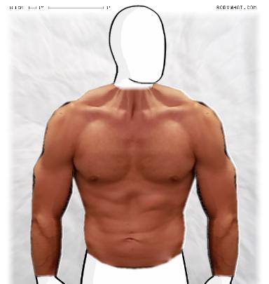 Muscle-ing up