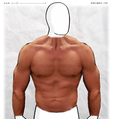 Muscle-ing up