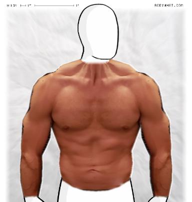 Muscle-ing up