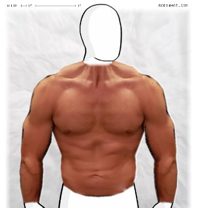 Muscle-ing up