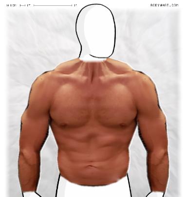 Muscle-ing up