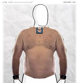 Torso