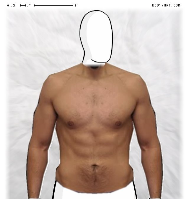 Picture 1