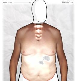 Torso