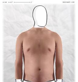 Torso