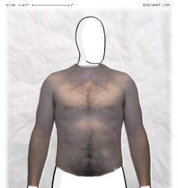 Torso