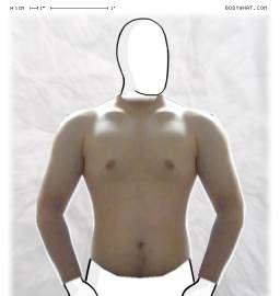 Torso
