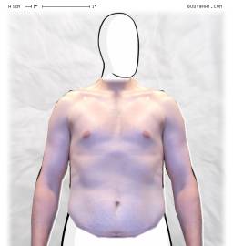 Torso