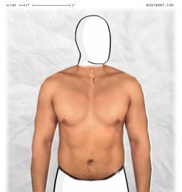Torso