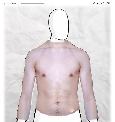 Muscle Morphing