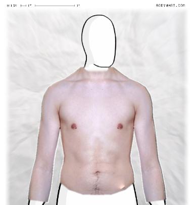 Slim Morphing