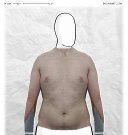Torso