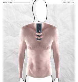 Torso