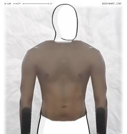 Torso