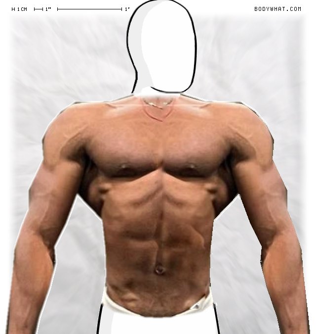 Picture 1