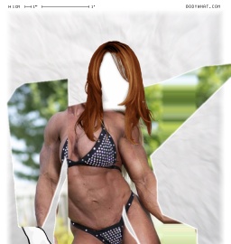 Torso