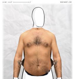 Torso
