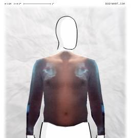 Torso