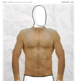Torso