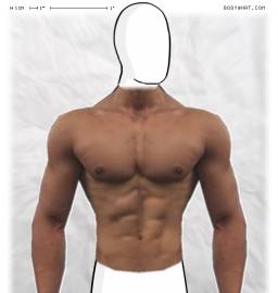 Torso