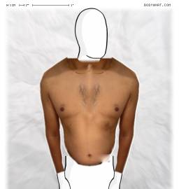 Torso