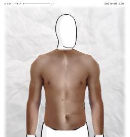 Torso