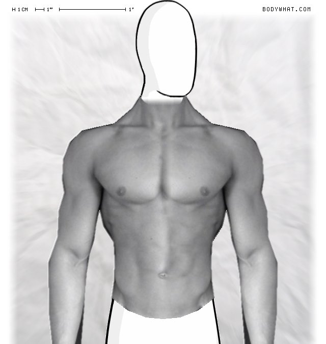 Picture 1