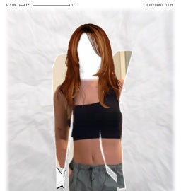 Torso