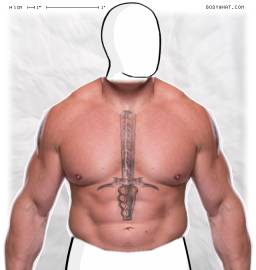 Torso
