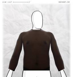 Torso
