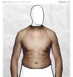 Torso