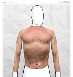 Torso