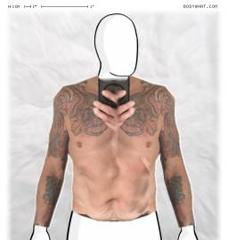 Torso