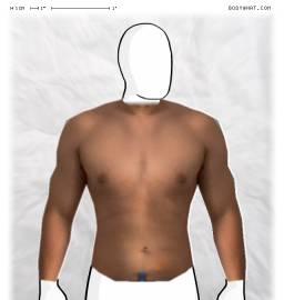 Torso