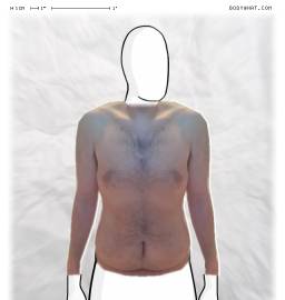 Torso