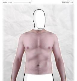Torso