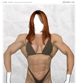 Torso
