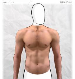 Torso