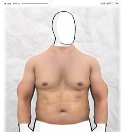 Torso