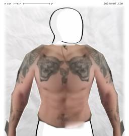 Torso