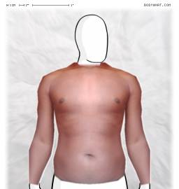 Torso