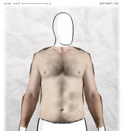 Torso