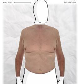 Torso