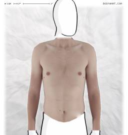 Torso