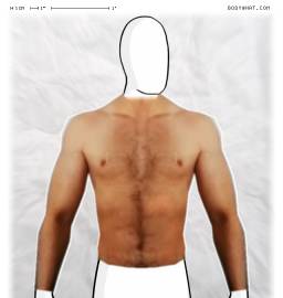 Torso